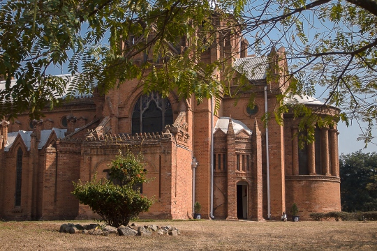 P8217616.jpg