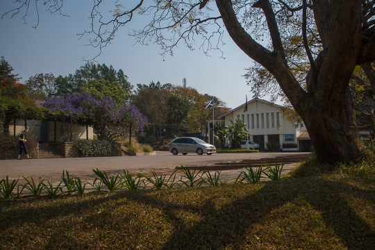 P8217629.jpg