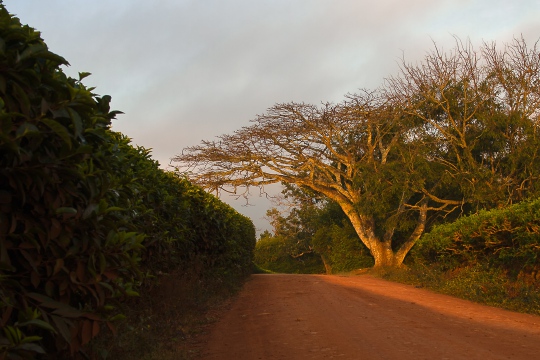 P8258894.jpg