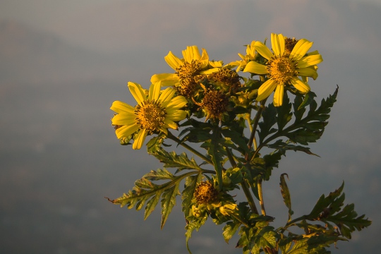 P8269000.jpg