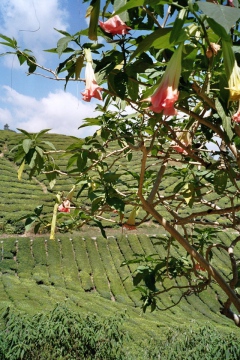 103.jpg