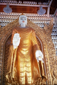 140.jpg