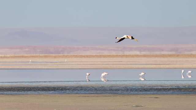 ChileArgentina-029