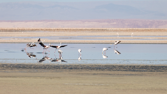 ChileArgentina-031