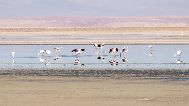 ChileArgentina-032