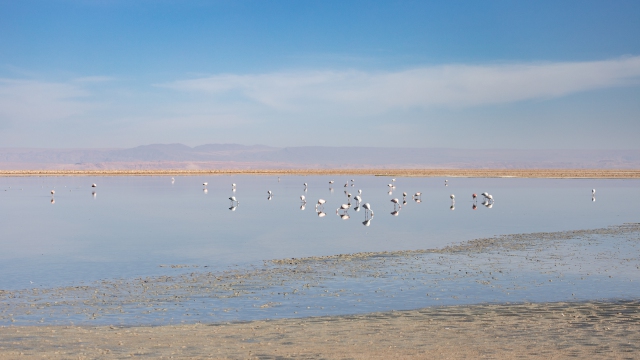 ChileArgentina-036