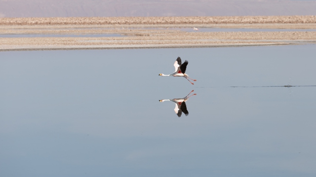 ChileArgentina-046