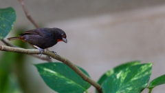 003_-_IMG_6273-Enhanced-NR