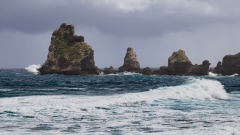 009_-_IMG_6291-Enhanced-NR