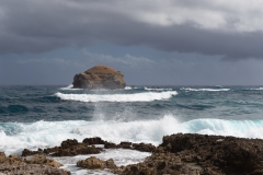 010_-_IMG_6294-Enhanced-NR