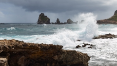 011_-_IMG_6306-Enhanced-NR