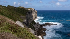 012_-_IMG_6329-Enhanced-NR