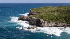 013_-_IMG_6331-Enhanced-NR