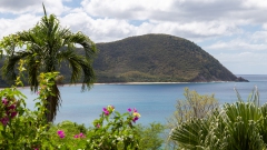 014_-_IMG_6366-Enhanced-NR