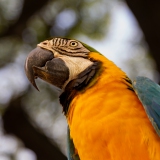 022_-_IMG_6415-Enhanced-NR