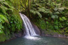 031_-_IMG_6450-Enhanced-NR