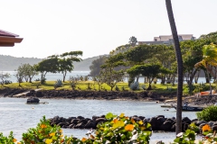 034_-_IMG_6458-Enhanced-NR