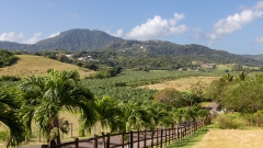 035_-_IMG_6462-Enhanced-NR