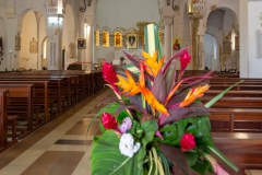 038_-_IMG_6478-Enhanced-NR