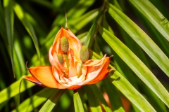 053_-_IMG_6550-Enhanced-NR