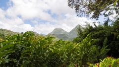 056_-_IMG_6557-Enhanced-NR