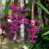 059_-_IMG_6563-Enhanced-NR