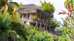 064_-_IMG_6599-Enhanced-NR