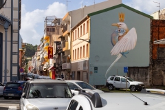 078_-_IMG_6705-Enhanced-NR