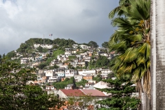 084_-_IMG_6735-Enhanced-NR