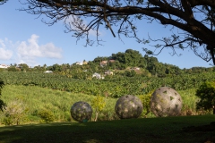 086_-_IMG_6770-Enhanced-NR