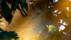 088_-_IMG_6780-Enhanced-NR