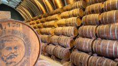 089_-_IMG_6784-Enhanced-NR