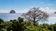 092_-_IMG_6831-Enhanced-NR