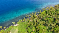 dji_fly_20260127_094424_0045_1770315128176_photo