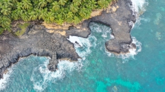 dji_fly_20260129_145650_0065_1770315030582_photo