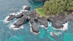 dji_fly_20260129_145720_0067_1770315029887_photo